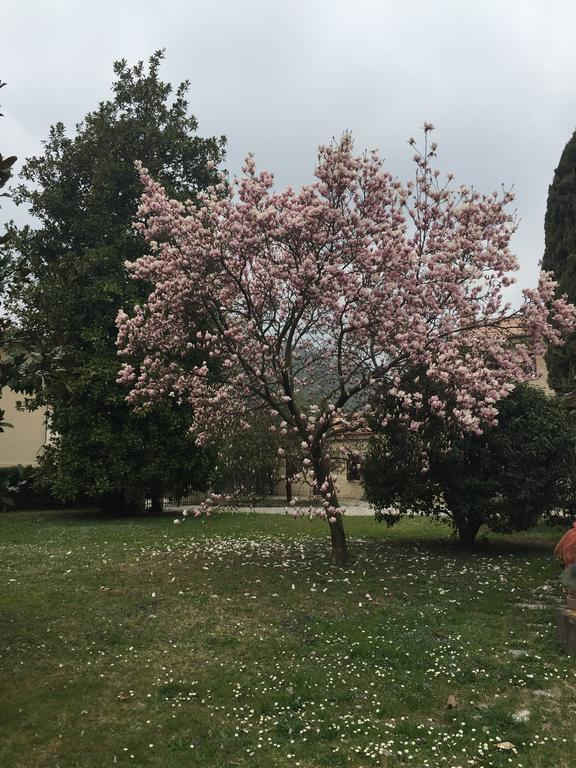 Agriturismo Villa Panigai Farra di Soligo Exteriér fotografie